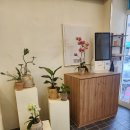 마음이 봉봉 이미지