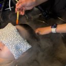 강남역헤드스파 준오헤어 강남역화이트점 두피클리닉 후기