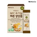 로리아 쇼핑하우