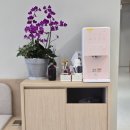 콩앤팥내과의원 이미지