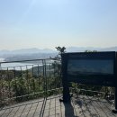 신토불이떡볶이 이미지