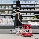 보프 롤링카트 장바구니 요즘 유행템인 장바구니 카트 내돈내산 후기!