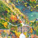 &#34;11만 평 수목원이 무료라고?&#34;… 도심 한복판에서 부모님도 감탄한 가을 명소 이미지