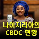 나이지리아의 CBDC 실험.. 은 실폐 이미지