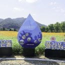 덕동 맑은 물 플라워가든(2025.10.10) 이미지
