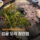 최고의오리 | [장안동 맛집] 도심 속 자연에서 즐기는 최고의 보양식, '감골오리 장안점' 이전 오픈 방문 후기!