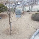 삼호콘테이너 이미지