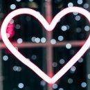 시청인근 이미지