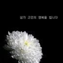또 하나의 별 이미지