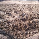 순수농장 이미지