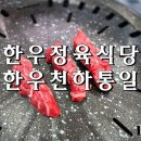 천하정육