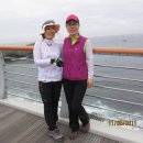 제주 올레길 7코스 이미지