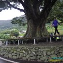 석포주유소 이미지