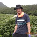 병철농장 이미지