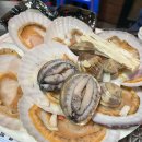 푸바오PC 이미지