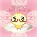 가은8호 이미지