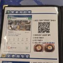 낭만주먹 | [주안횟집] 주먹보다 큰 조개가 한가득! 야장 감성 폭발하는 퓨전 회포차