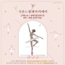 시손느발레학원