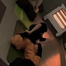 (주)토리로지스 네이버블로그