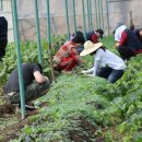 지구촌농장 이미지