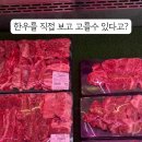 거산스타일