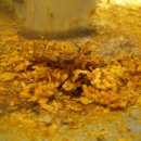 청궁맛집 이미지