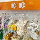 도기다이닝 이미지