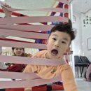 세종의 아침 태권도(나성관) 이미지