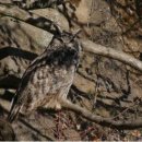 벌등공원 이미지