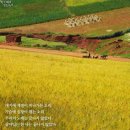 대지-2010 이미지