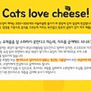 피스트푸드