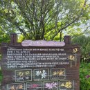 백양꽃화원