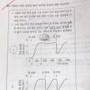 바소프레신 이미지