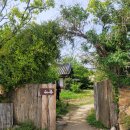 죽연마을회관 앞 이미지