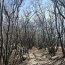 해변산장 네이버블로그