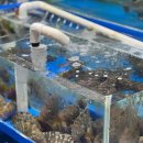 가락시장역 1번출구 이미지