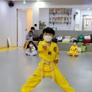 사제동행 태권도 이미지