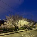 보문역 | [술집추천] 서울 보문역 술집 '초재진보' 찐단골 후기