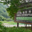 비석농장 이미지