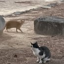 성여선디자인 | ~ 1월 ~