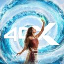 영화 모아나(Moana / 2026) - 솔직 후기, 정보, 쿠키 영상 / 오! 드디어 실사화 영화에 정신 차린 디즈니?