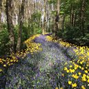 군자공인중개사사무소 이미지