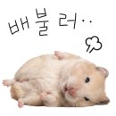 고기굽는저녁