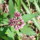 함평이야기 이미지