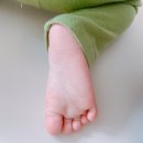 레푸스 화정점 네이버블로그