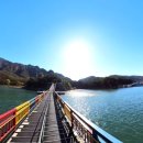 (주)충주호크루즈