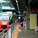 미림유치원 이미지