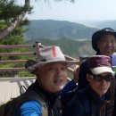 제215회飛龍山 回龍浦 木曜山行 3.31(金) 이미지