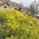 청대농장 이미지