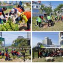 한국토지주택공사강원지역본부 | [고성] LH 탄소 상쇄 숲 조성 사업